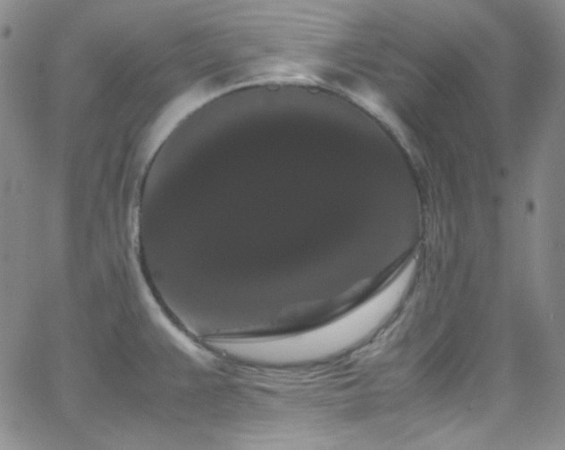 X0000062631383200512211218