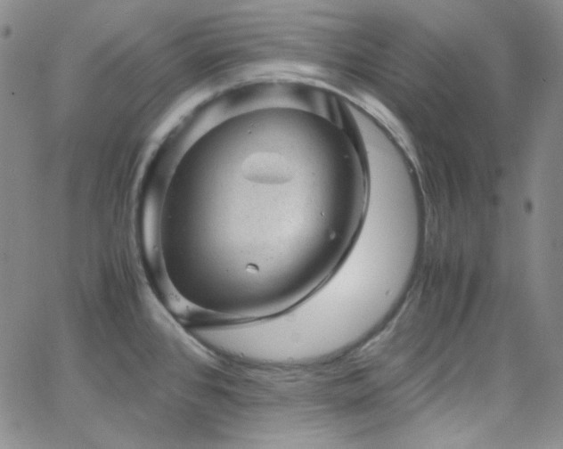 X0000062631384200512211218