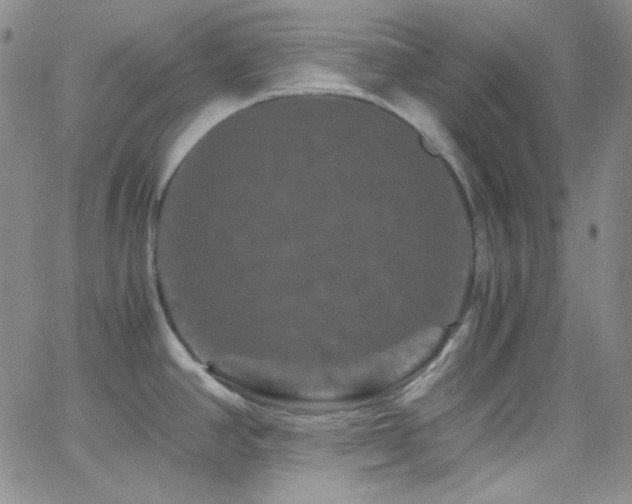 X0000062631390200512211217