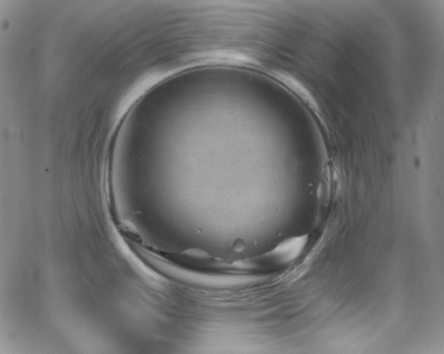 X0000062631391200512211217