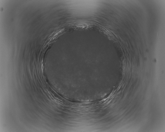 X0000062631394200512211217
