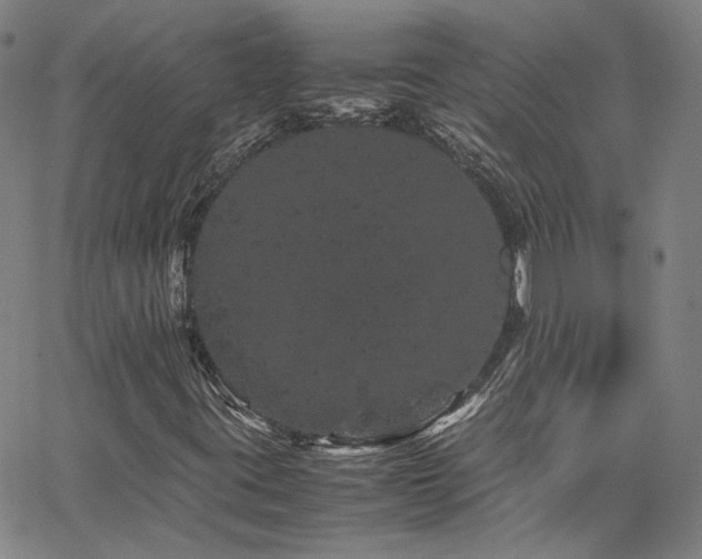 X0000062631395200512211217