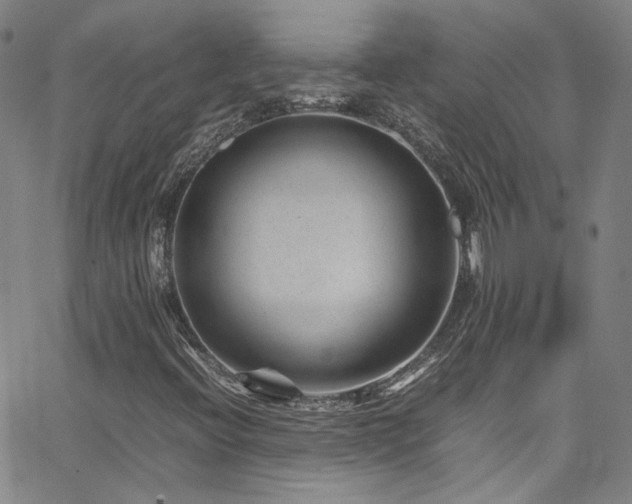 X0000062631396200512211217