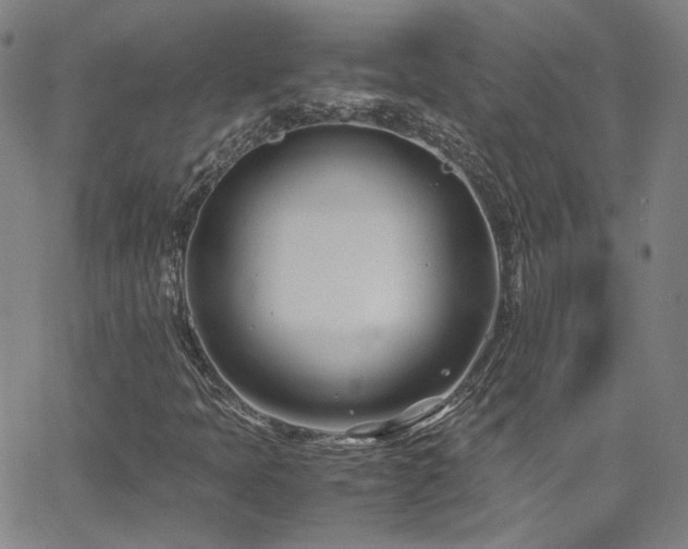 X0000062631397200512211217