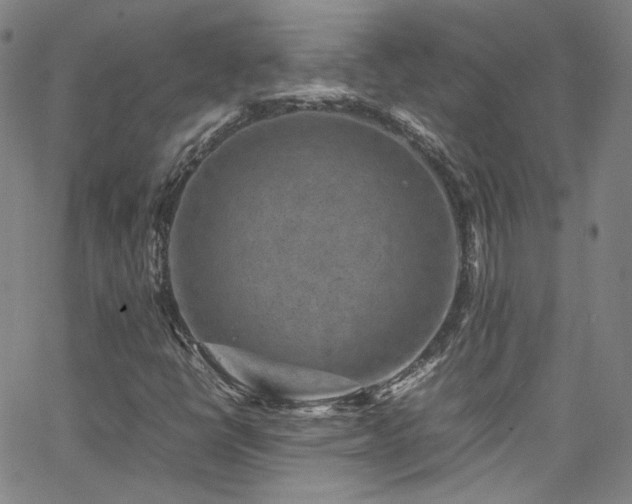 X0000062631398200512211217