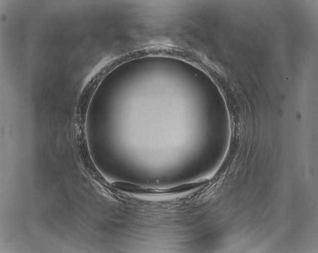 X0000062631400200512211217