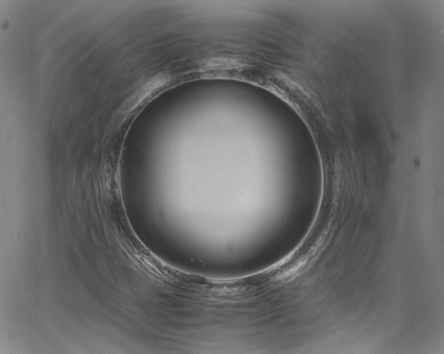 X0000062631401200512211217