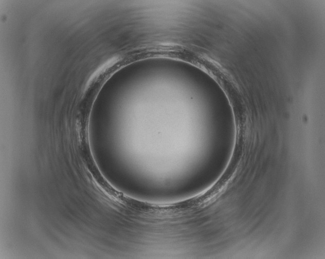 X0000062631402200512211217