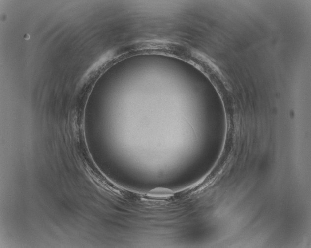 X0000062631403200512211217