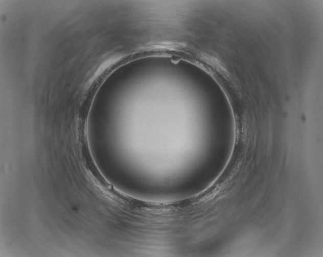 X0000062631404200512211217