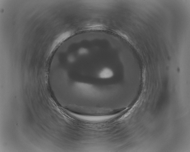 X0000062631405200512211217