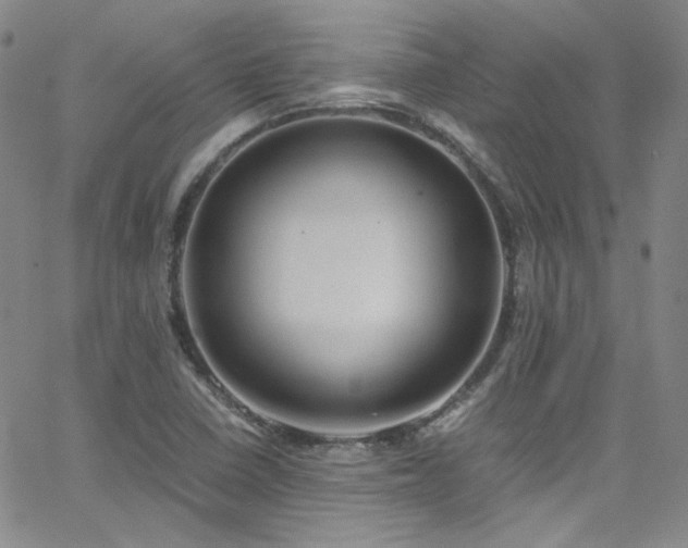 X0000062631410200512211217