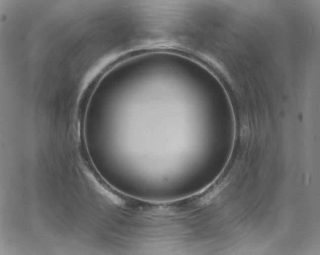 X0000062631414200512211217