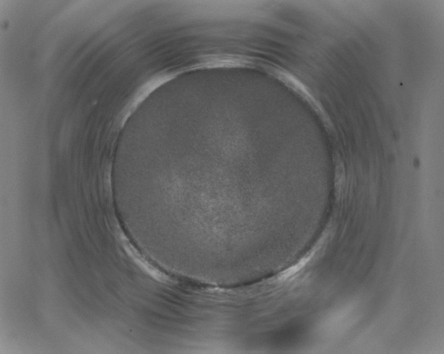 X0000062631417200512211217