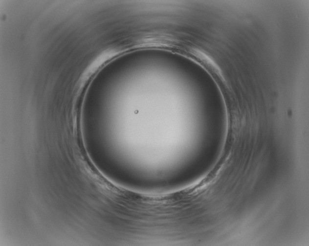 X0000062631419200512211217
