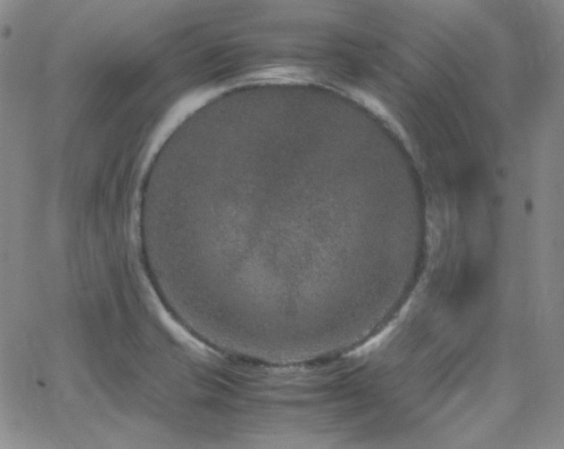 X0000062631421200512211217