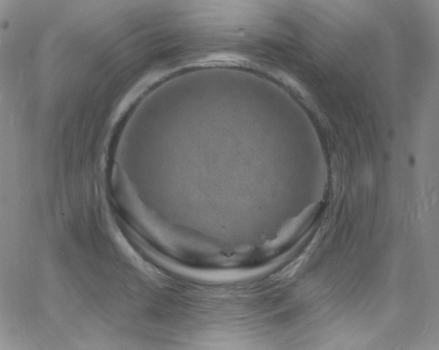 X0000062631422200512211217