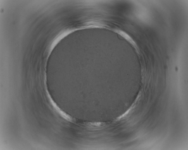 X0000062631431200512211217