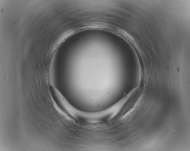 X0000062631433200512211217