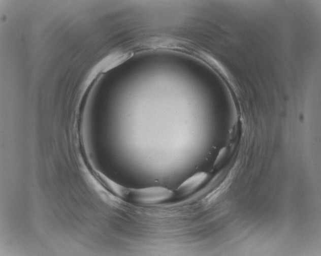 X0000062631434200512211217
