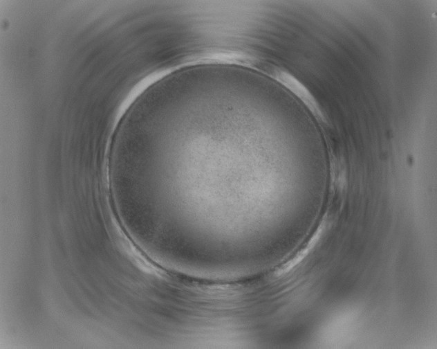 X0000062631436200512211217