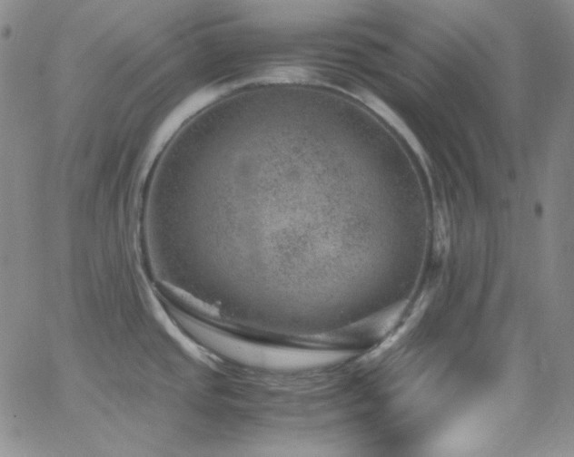 X0000062631437200512211217