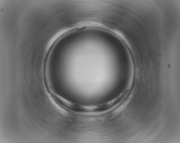 X0000062631438200512211217