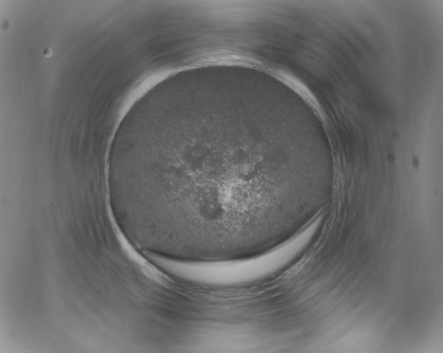 X0000062631439200512211217