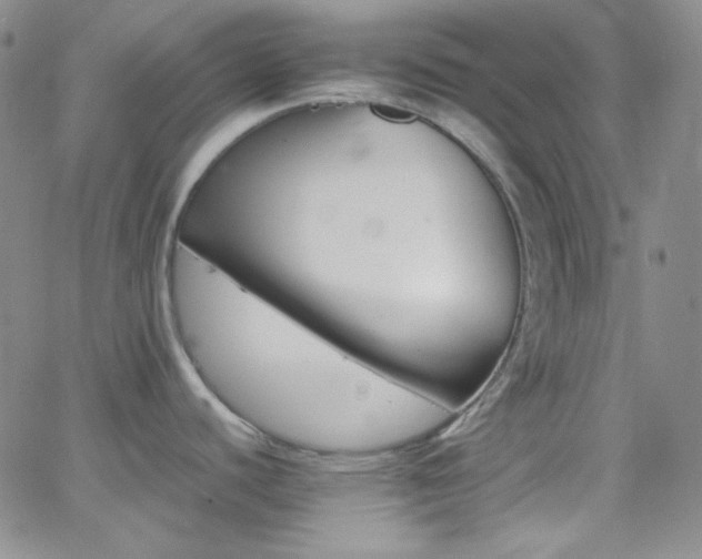 X0000062631440200512211217