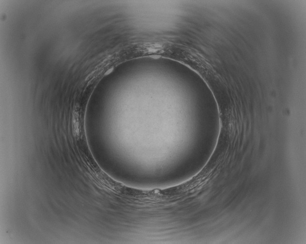 X0000062631442200512211217