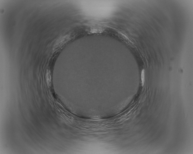 X0000062631443200512211217