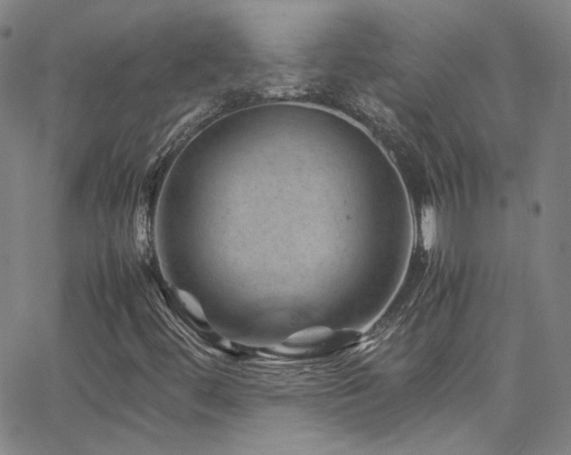 X0000062631444200512211217