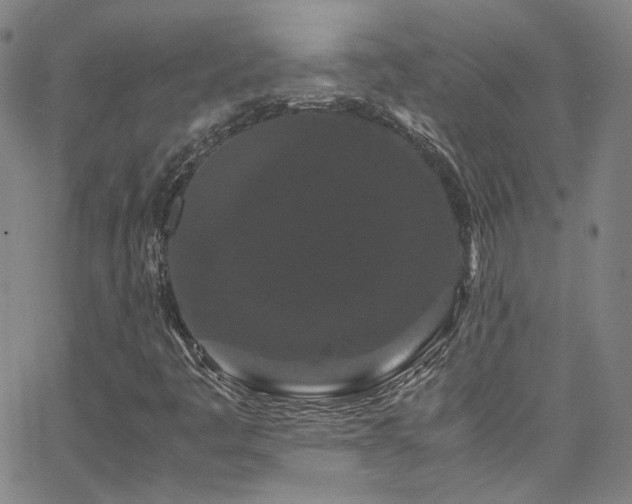 X0000062631445200512211217