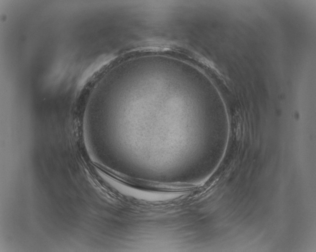 X0000062631448200512211217