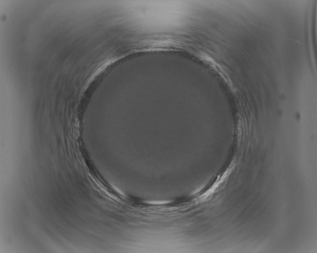 X0000062631449200512211216