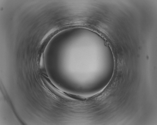 X0000062631450200512211216