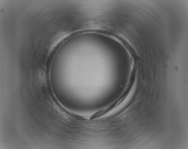 X0000062631452200512211216