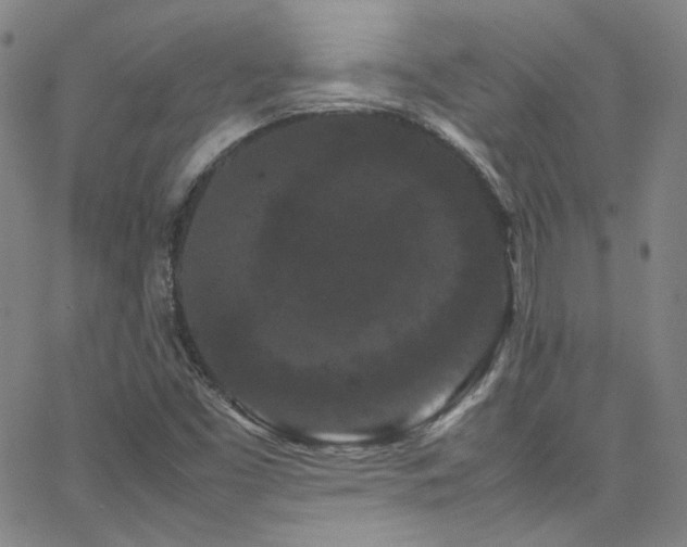 X0000062631453200512211216