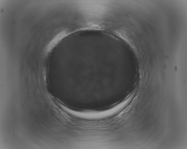 X0000062631455200512211216
