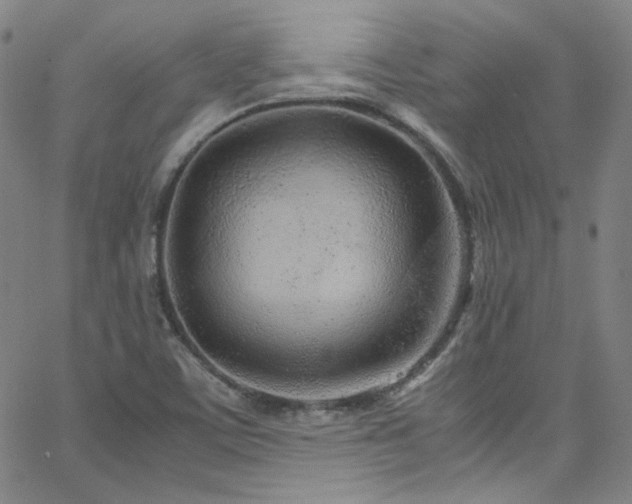 X0000062631459200512211216