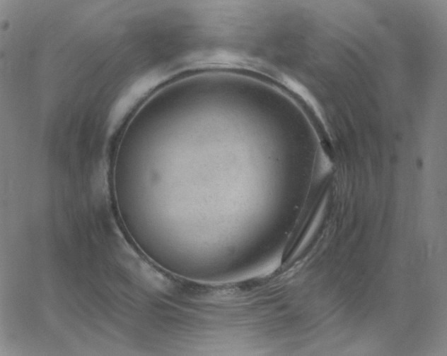 X0000062631464200512211216