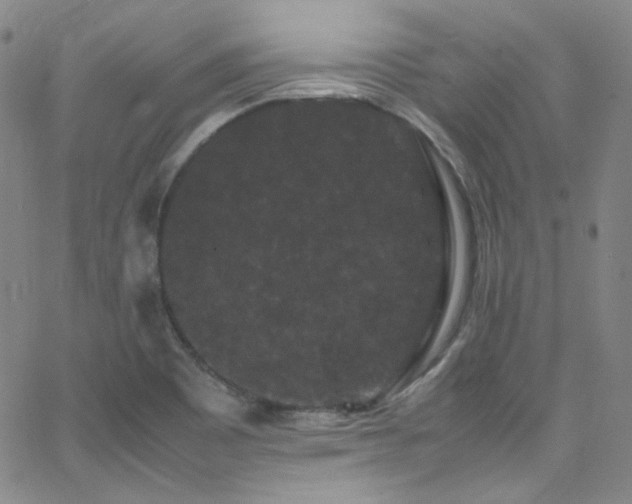 X0000062631465200512211216