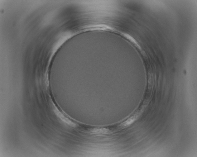 X0000062631466200512211216