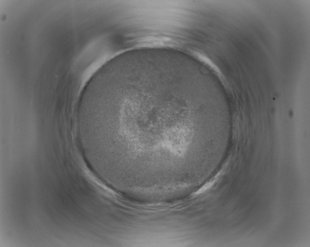 X0000062631467200512211216