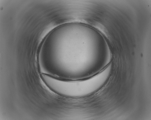 X0000062631468200512211216