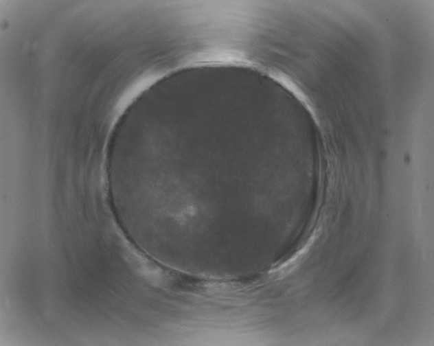 X0000062631469200512211216