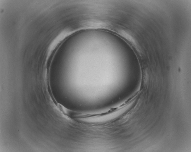 X0000062631472200512211216