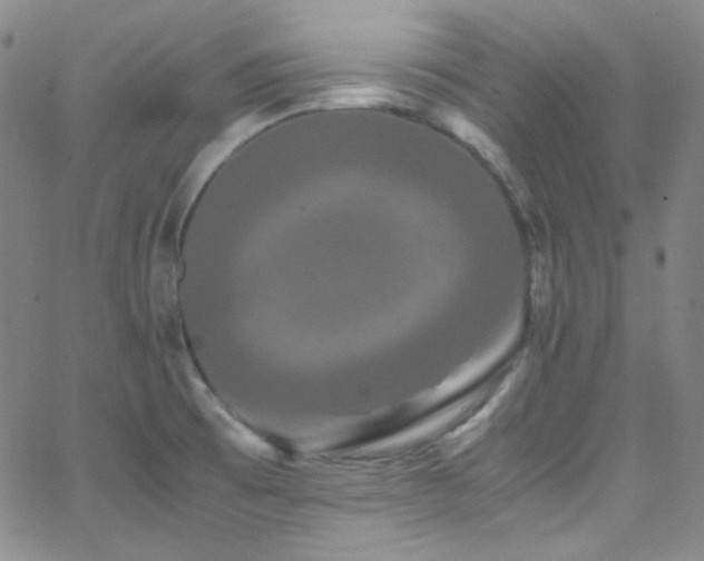 X0000062631473200512211216