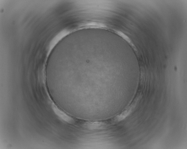 X0000062631474200512211216