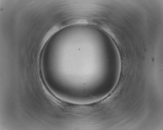 X0000062631475200512211216